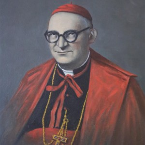 Četrdeset godina od smrti kardinala Franje Šepera